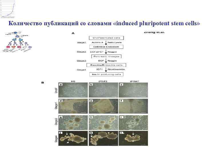Количество публикаций со словами «induced pluripotent stem cells» 