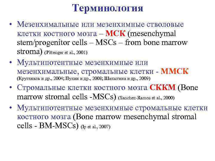 Терминология • Мезенхимальные или мезенхимные стволовые клетки костного мозга – МСК (mesenchymal stem/progenitor cells