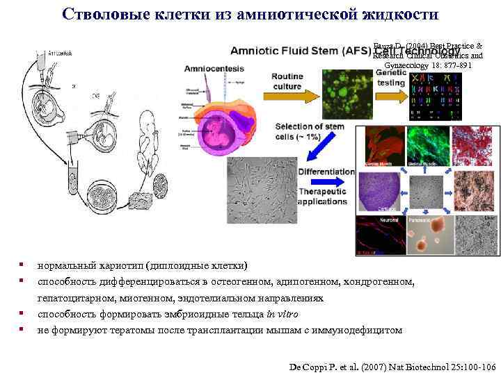 Стволовые клетки из амниотической жидкости Fauza D. (2004) Best Practice & Research Clinical Obstetrics