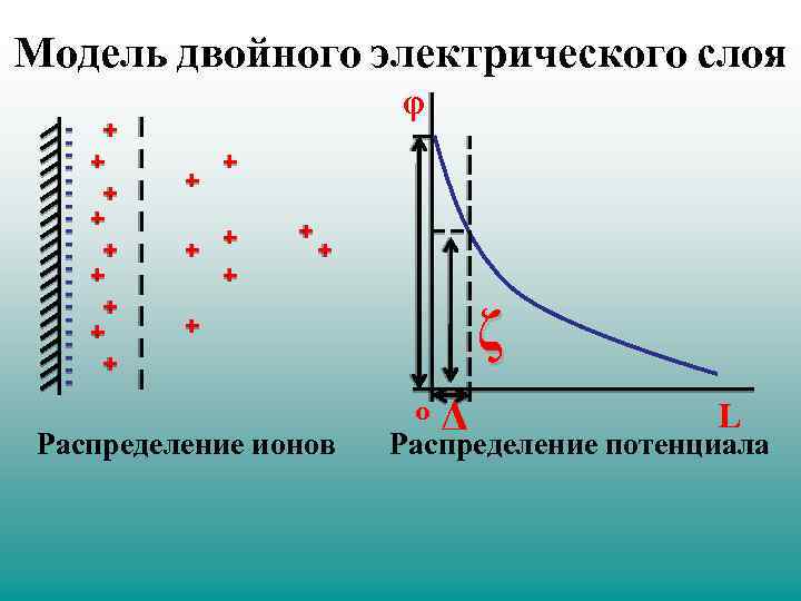 Двойной электрический. Модели двойного электрического слоя. Способы образования двойного электрического слоя.. Деформация двойного электрического слоя. Условия образования двойной электрический слой.