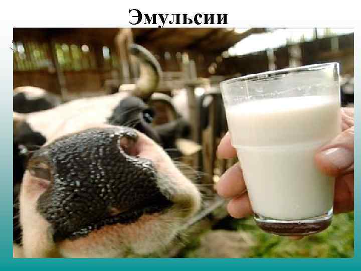 Эмульсии Эмульсия – это коллоидная система, состоящая из двух взаимонерастворимых жидкостей с размером капель