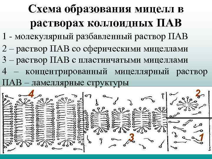 Растворы коллоидных пав. Схема образования мицеллы. Строение и образования мицелл пав. Строение мицелл пав. Мицеллы неионогенных пав.