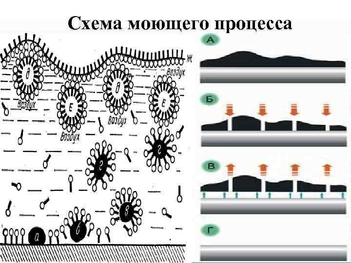 Схема моющего процесса 