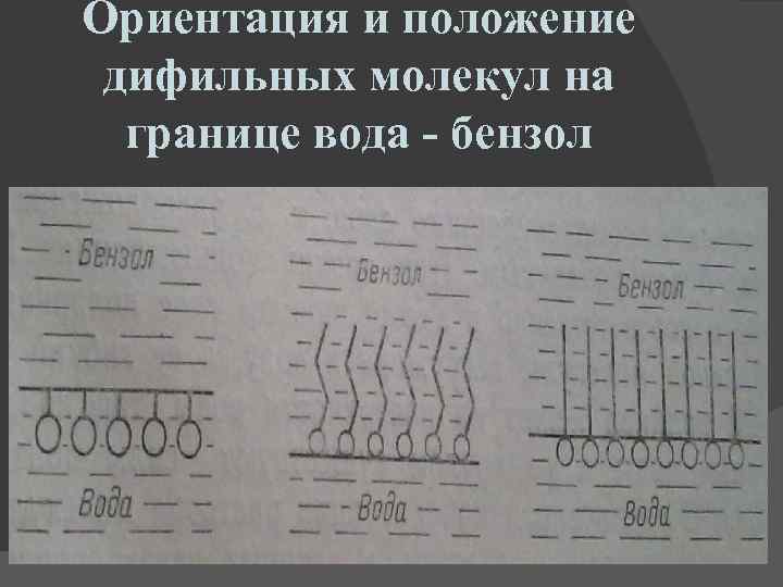 Ориентация и положение дифильных молекул на границе вода - бензол 