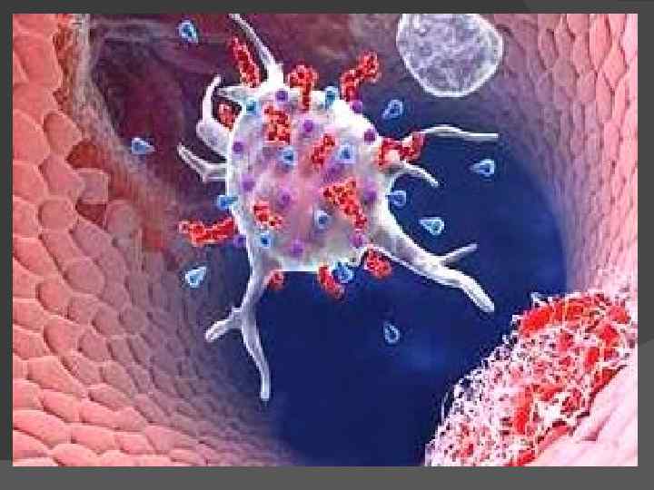  Энтеросорбция - это адсорбционная терапия Энтеросорбция применяется для удаления токсинов, газов и вредных