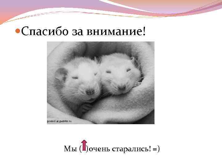  Спасибо за внимание! Мы ( )очень старались! =) 