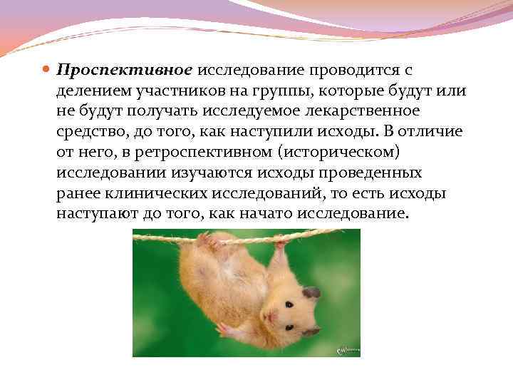  Проспективное исследование проводится с делением участников на группы, которые будут или не будут