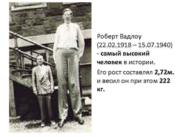 Роберт Вадлоу (22. 02. 1918 – 15. 07. 1940) - самый высокий человек в