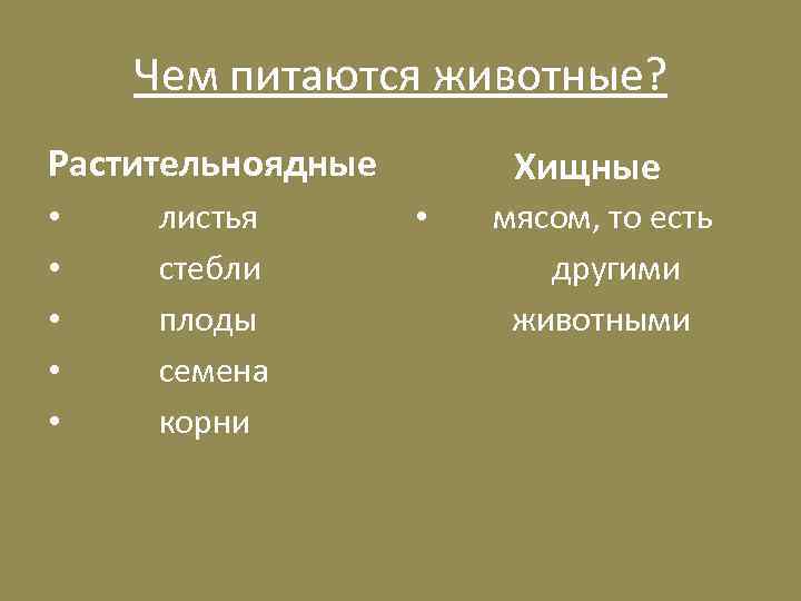 Чем питаются животные? Растительноядные • • • листья стебли плоды семена корни Хищные •