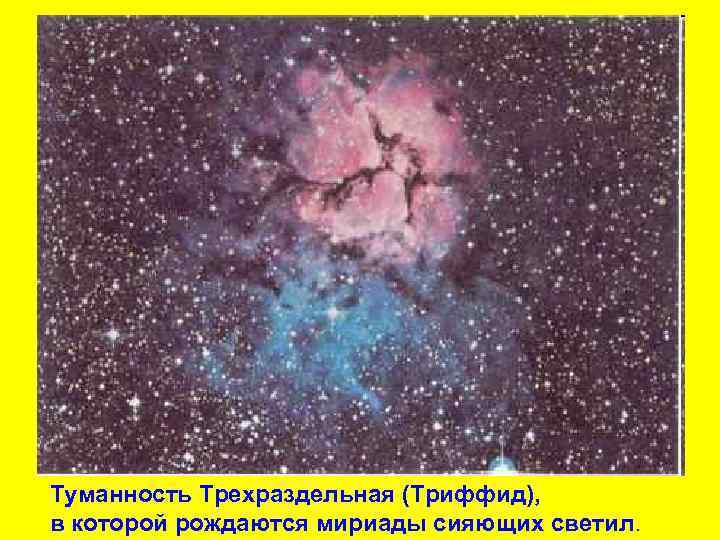 Туманность Трехраздельная (Триффид), в которой рождаются мириады сияющих светил. 