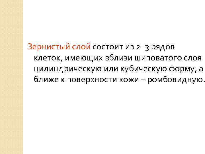 Зернистый слой состоит из 2– 3 рядов клеток, имеющих вблизи шиповатого слоя цилиндрическую или