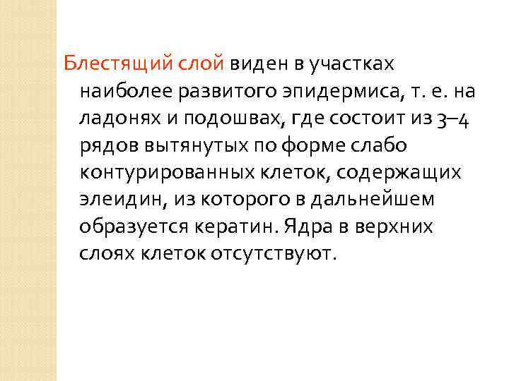 Блестящий слой виден в участках наиболее развитого эпидермиса, т. е. на ладонях и подошвах,