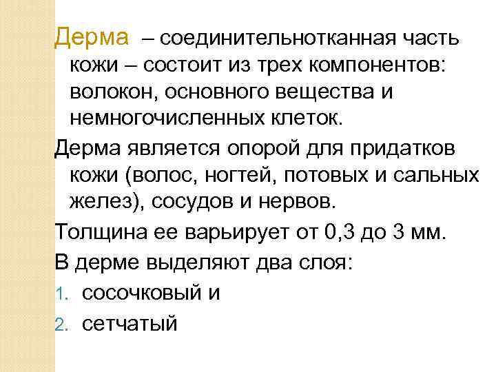 Дерма – соединительнотканная часть кожи – состоит из трех компонентов: волокон, основного вещества и