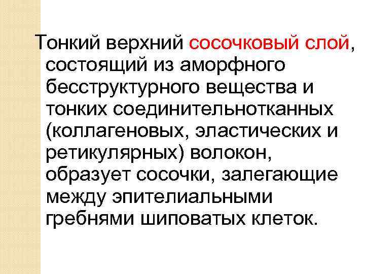 Тонкий верхний сосочковый слой, состоящий из аморфного бесструктурного вещества и тонких соединительнотканных (коллагеновых, эластических