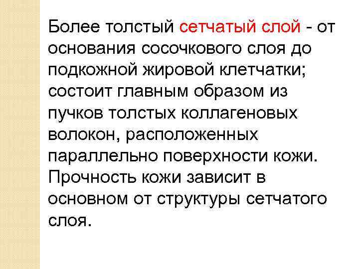 Более толстый сетчатый слой - от основания сосочкового слоя до подкожной жировой клетчатки; состоит