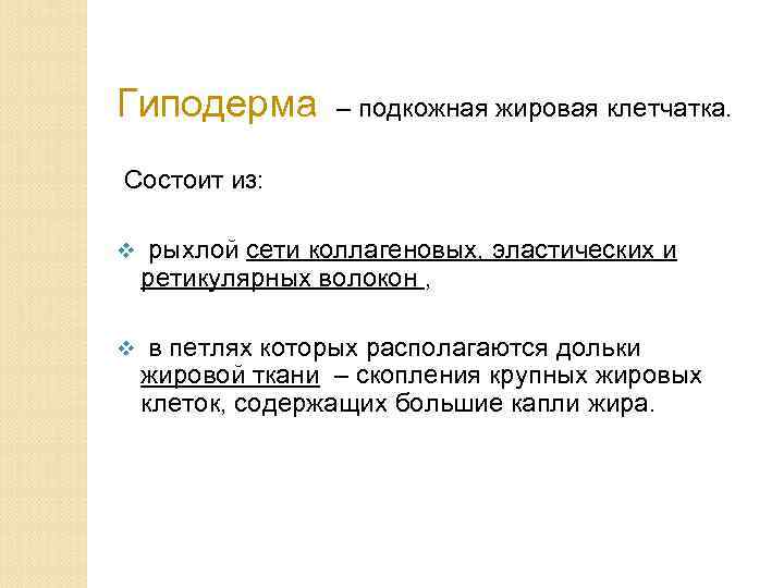 Гиподерма – подкожная жировая клетчатка. Состоит из: v рыхлой сети коллагеновых, эластических и ретикулярных