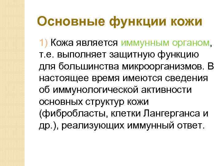Основные функции кожи 1) Кожа является иммунным органом, т. е. выполняет защитную функцию для
