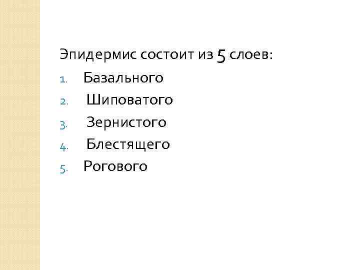 Эпидермис состоит из 5 слоев: 1. Базального 2. Шиповатого 3. Зернистого 4. Блестящего 5.