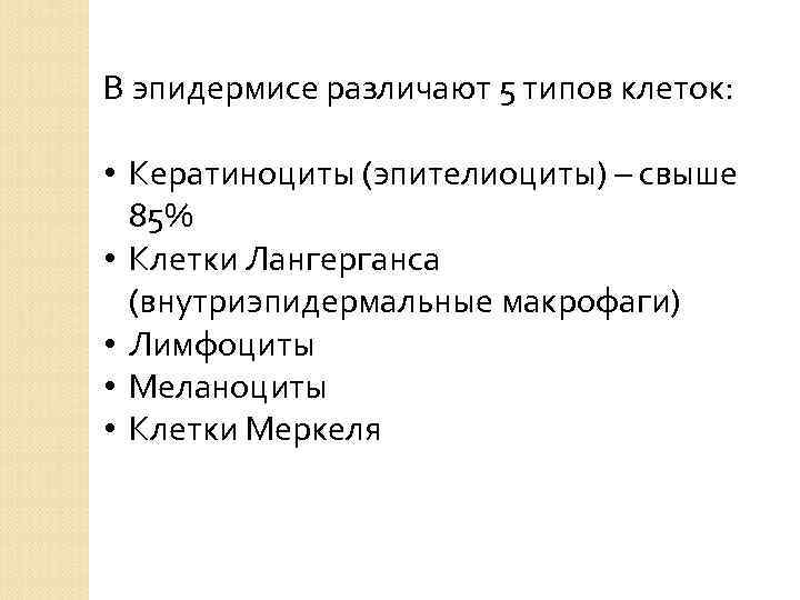 В эпидермисе различают 5 типов клеток: • Кератиноциты (эпителиоциты) – свыше 85% • Клетки