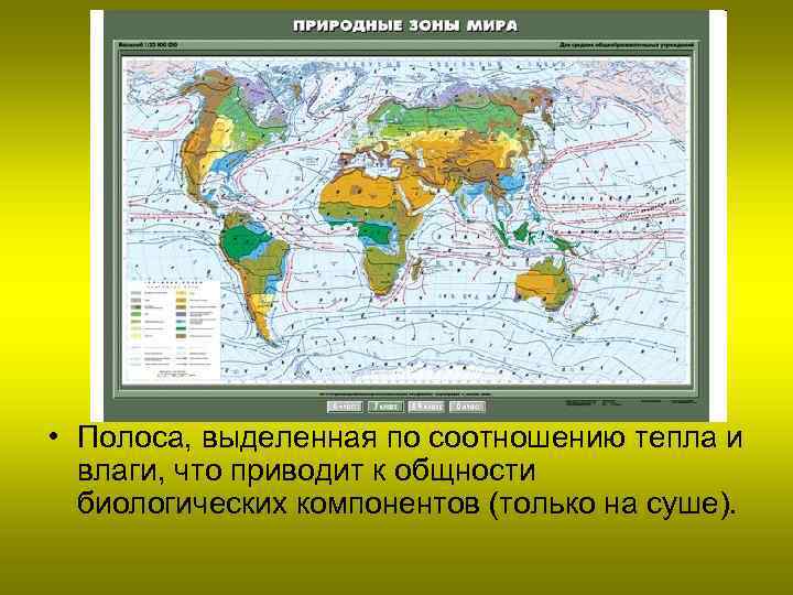  • Полоса, выделенная по соотношению тепла и влаги, что приводит к общности биологических