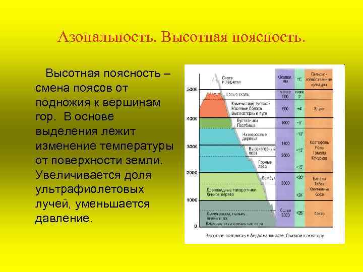 Азональность. Высотная поясность – смена поясов от подножия к вершинам гор. В основе выделения