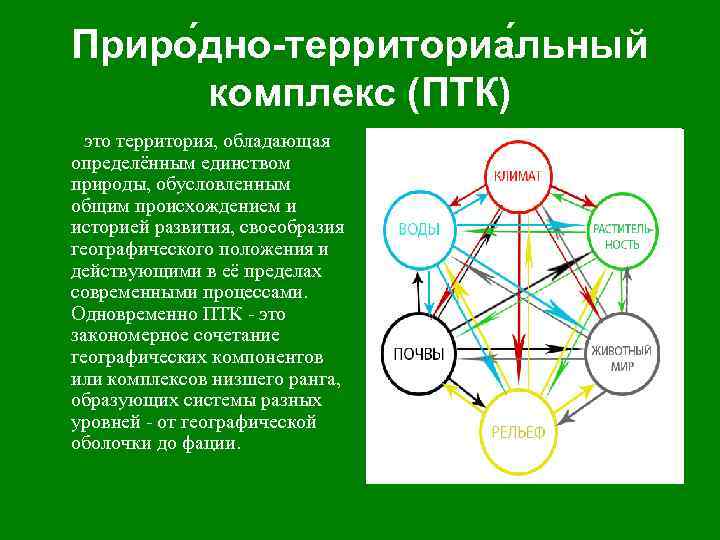 Приро дно-территориа льный комплекс (ПТК) это территория, обладающая определённым единством природы, обусловленным общим происхождением