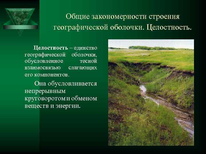 Общие закономерности строения географической оболочки. Целостность – единство географической оболочки, обусловленное тесной взаимосвязью слагающих
