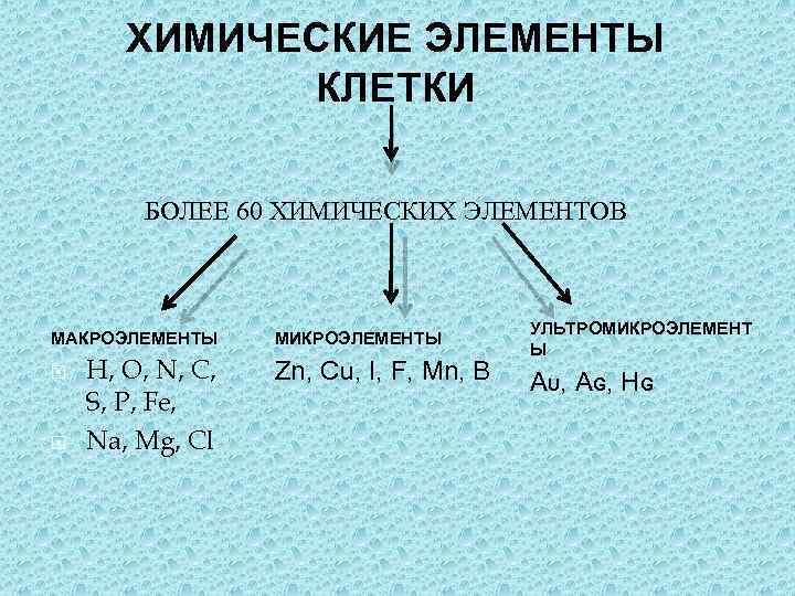 ХИМИЧЕСКИЕ ЭЛЕМЕНТЫ КЛЕТКИ БОЛЕЕ 60 ХИМИЧЕСКИХ ЭЛЕМЕНТОВ МАКРОЭЛЕМЕНТЫ H, O, N, C, S, P,