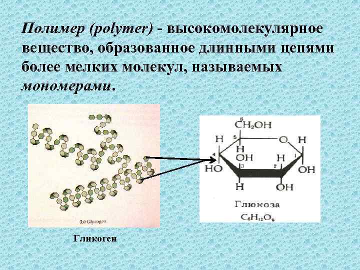 Полимер (polymer) - высокомолекулярное вещество, образованное длинными цепями более мелких молекул, называемых мономерами. Гликоген