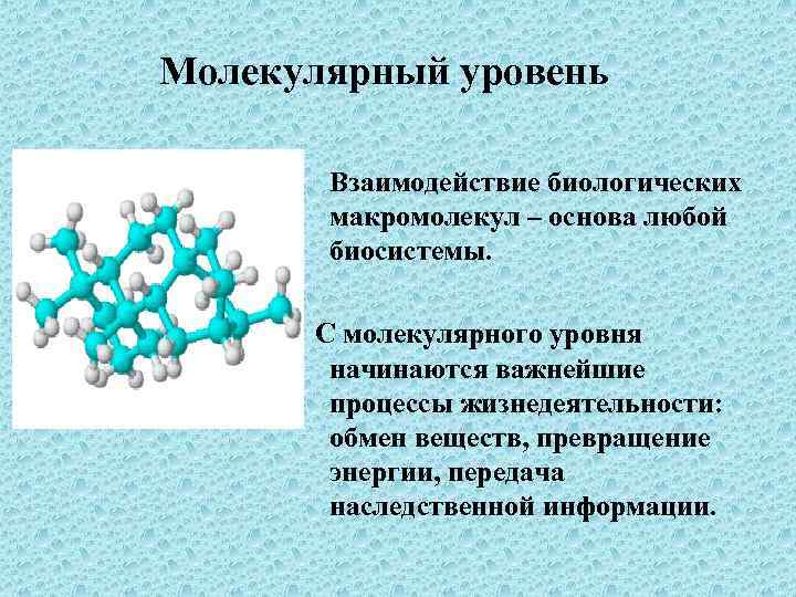 Молекулярный уровень Взаимодействие биологических макромолекул – основа любой биосистемы. С молекулярного уровня начинаются важнейшие