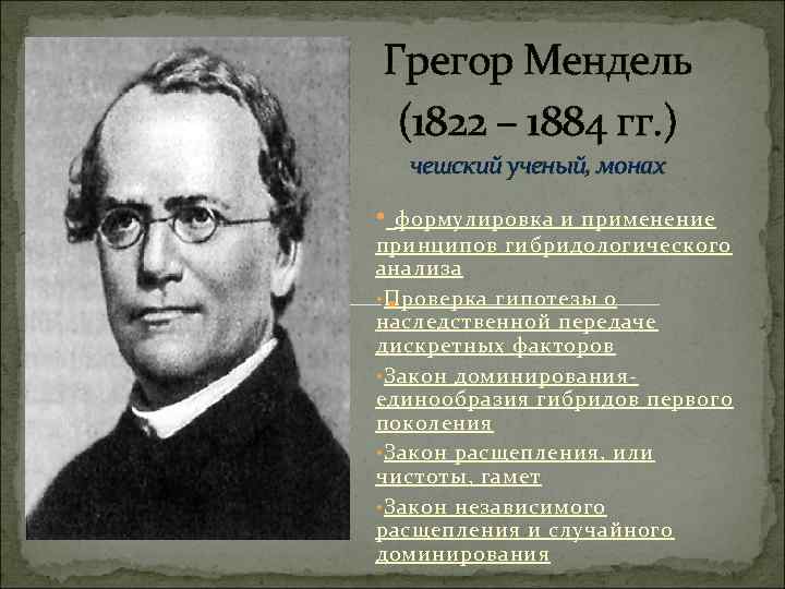 Грегор Мендель (1822 – 1884 гг. ) чешский ученый, монах • формулировка и применение