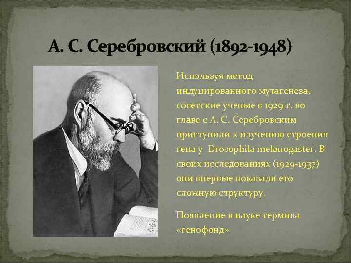 А. С. Серебровский (1892 -1948) Используя метод индуцированного мутагенеза, советские ученые в 1929 г.