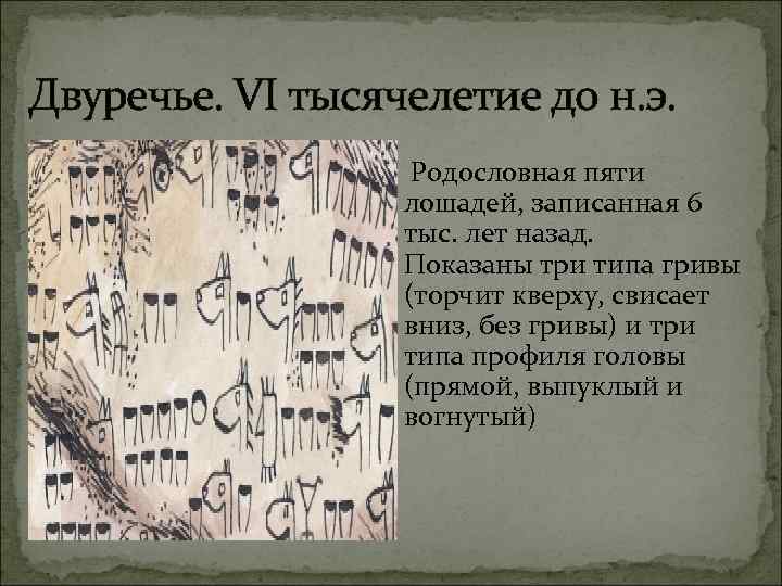 Двуречье. VI тысячелетие до н. э. Родословная пяти лошадей, записанная 6 тыс. лет назад.