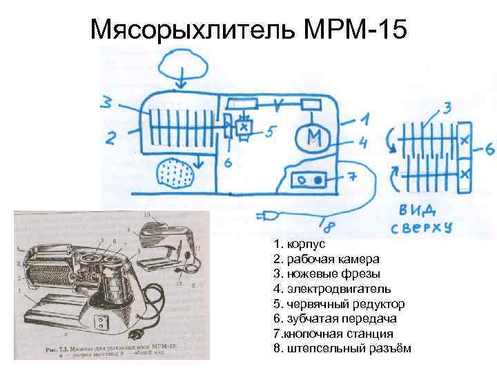 Мясорыхлитель МРМ-15 1. корпус 2. рабочая камера 3. ножевые фрезы 4. электродвигатель 5. червячный