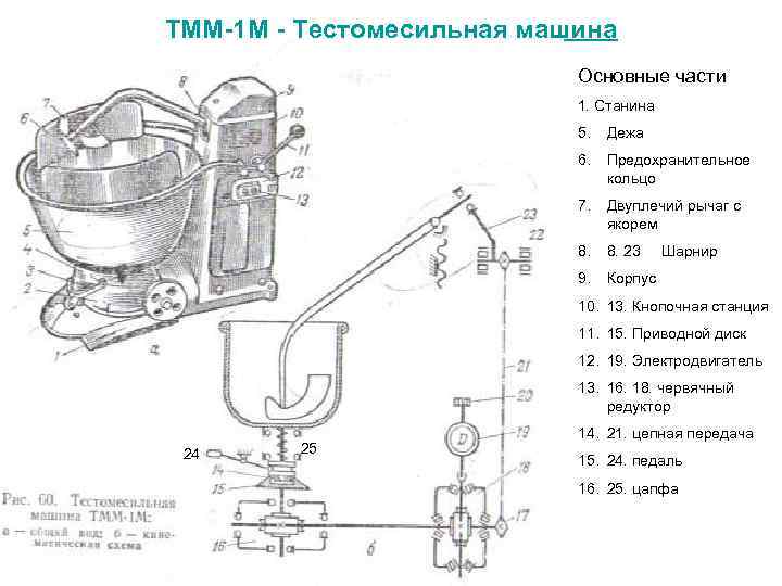 ТММ-1 М - Тестомесильная машина Основные части 1. Станина 5. Дежа 6. Предохранительное кольцо