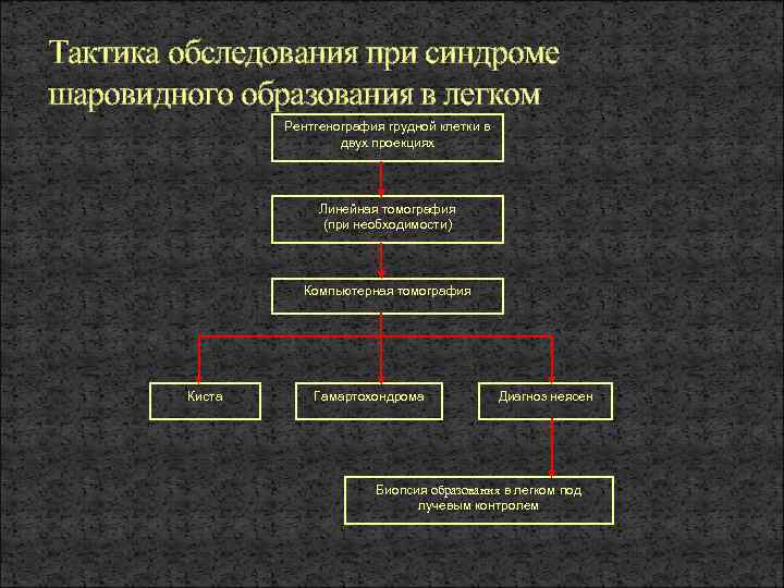 Тактика обследования при синдроме шаровидного образования в легком Рентгенография грудной клетки в двух проекциях
