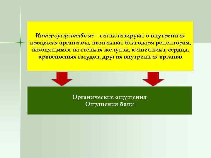 Интерорецептивные – сигнализируют о внутренних процессах организма, возникают благодаря рецепторам, находящимся на стенках желудка,
