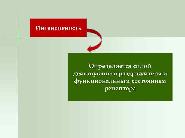 Интенсивность Определяется силой действующего раздражителя и функциональным состоянием рецептора 