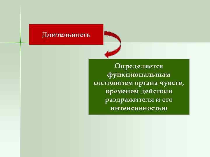 Длительность Определяется функциональным состоянием органа чувств, временем действия раздражителя и его интенсивностью 