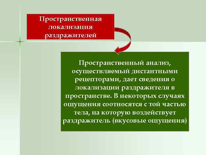 Пространственная локализация раздражителей Пространственный анализ, осуществляемый дистантными рецепторами, дает сведения о локализации раздражителя в