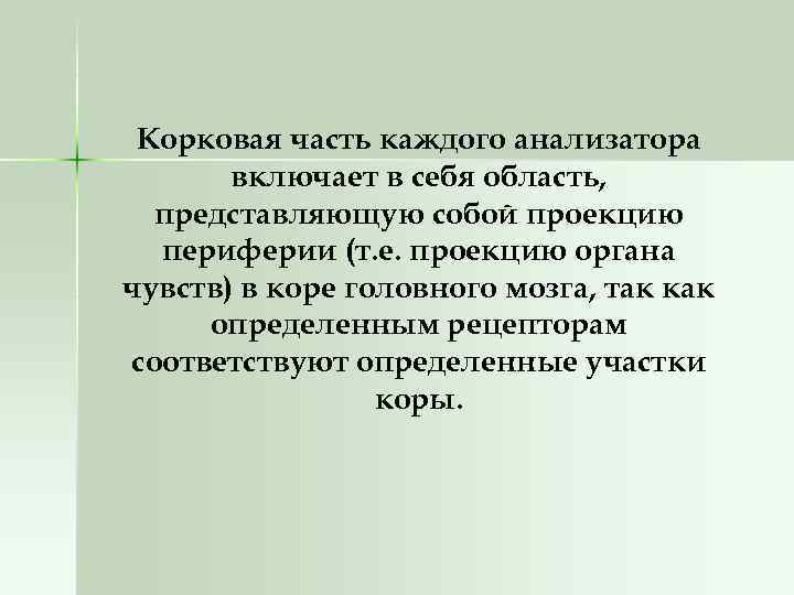 Корковая часть каждого анализатора включает в себя область, представляющую собой проекцию периферии (т. е.