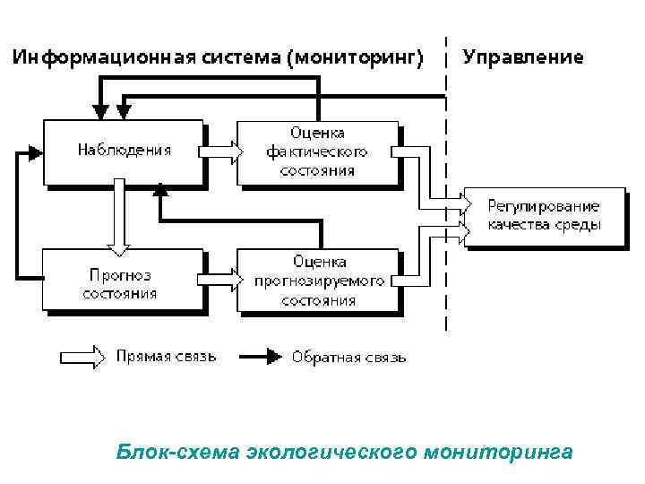Блок-схема экологического мониторинга 