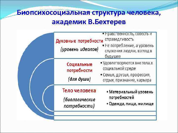 Биопсихосоциальная структура человека, академик В. Бехтерев 