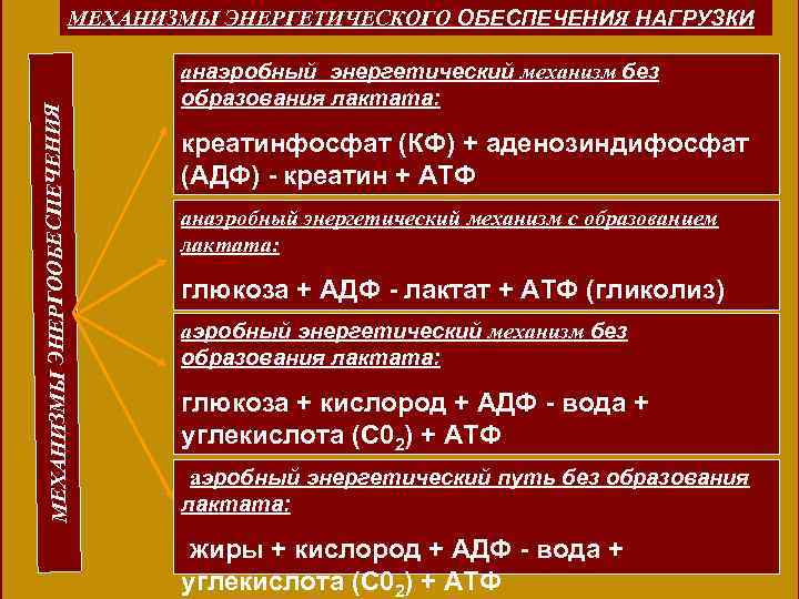 МЕХАНИЗМЫ ЭНЕРГООБЕСПЕЧЕНИЯ МЕХАНИЗМЫ ЭНЕРГЕТИЧЕСКОГО ОБЕСПЕЧЕНИЯ НАГРУЗКИ анаэробный энергетический механизм без образования лактата: креатинфосфат (КФ)