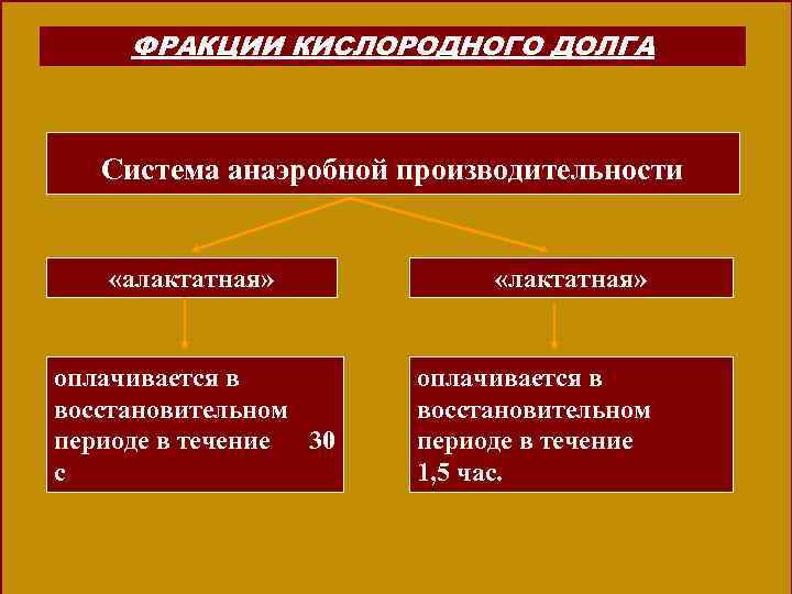 ФРАКЦИИ КИСЛОРОДНОГО ДОЛГА Система анаэробной производительности «алактатная» оплачивается в восстановительном периоде в течение 30