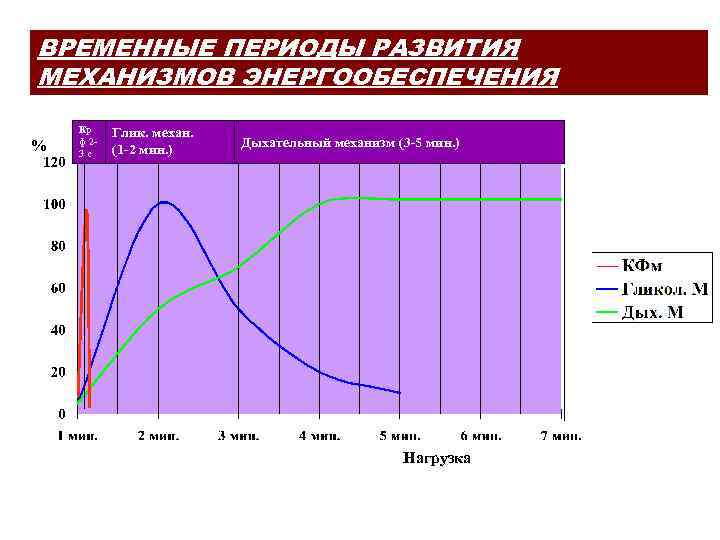 ВРЕМЕННЫЕ ПЕРИОДЫ РАЗВИТИЯ МЕХАНИЗМОВ ЭНЕРГООБЕСПЕЧЕНИЯ % Кр ф 23 с Глик. механ. (1 -2