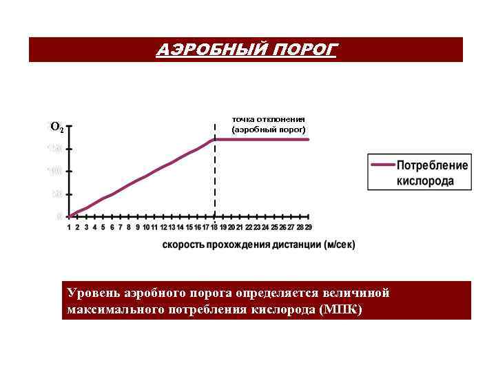 АЭРОБНЫЙ ПОРОГ О 2 точка отклонения (аэробный порог) Уровень аэробного порога определяется величиной максимального
