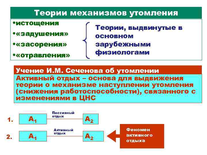 Сеченов утомление. Концепции и теории утомления. Физиологические основы активного отдыха. Центрально нервная теория утомления. Утомление и теории его возникновения.