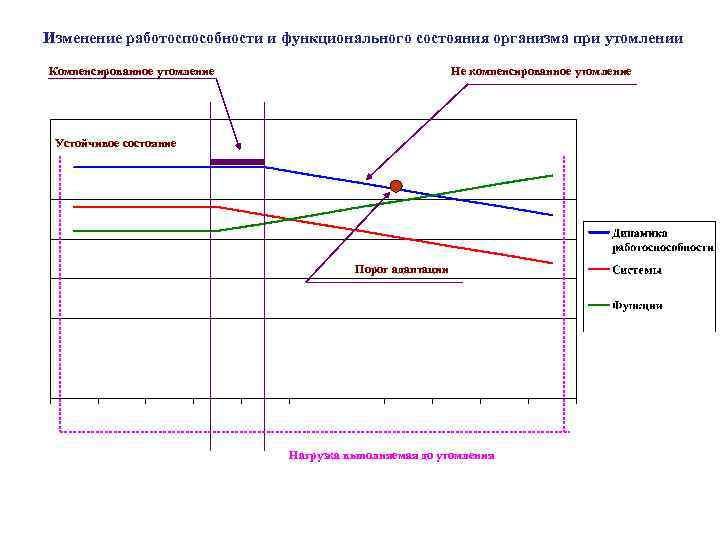 Работоспособность и функциональные состояния. Физиологическая характеристика функциональных состояний организма. Восстановление, фазы и изменения работоспособности. Техники оптимизации функциональных состояний при утомлении. Врабатывание устойчивый период утомление это характеристики.