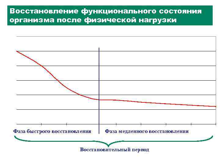 Восстановление функционального состояния организма после физической нагрузки Фаза быстрого восстановления Фаза медленного восстановления Восстановительный